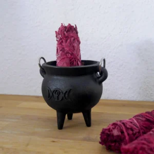 Earth Esprit Dragon Blood White Sage Smudge Stick