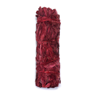 Earth Esprit Dragon Blood White Sage Smudge Stick